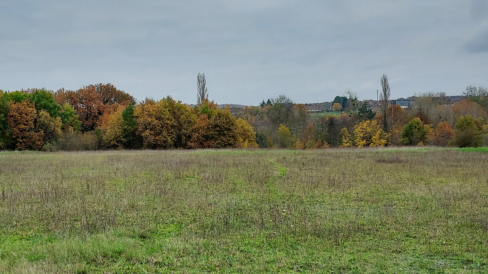 Terrain constructible de 1148m2 à Valloire-sur-Cisse