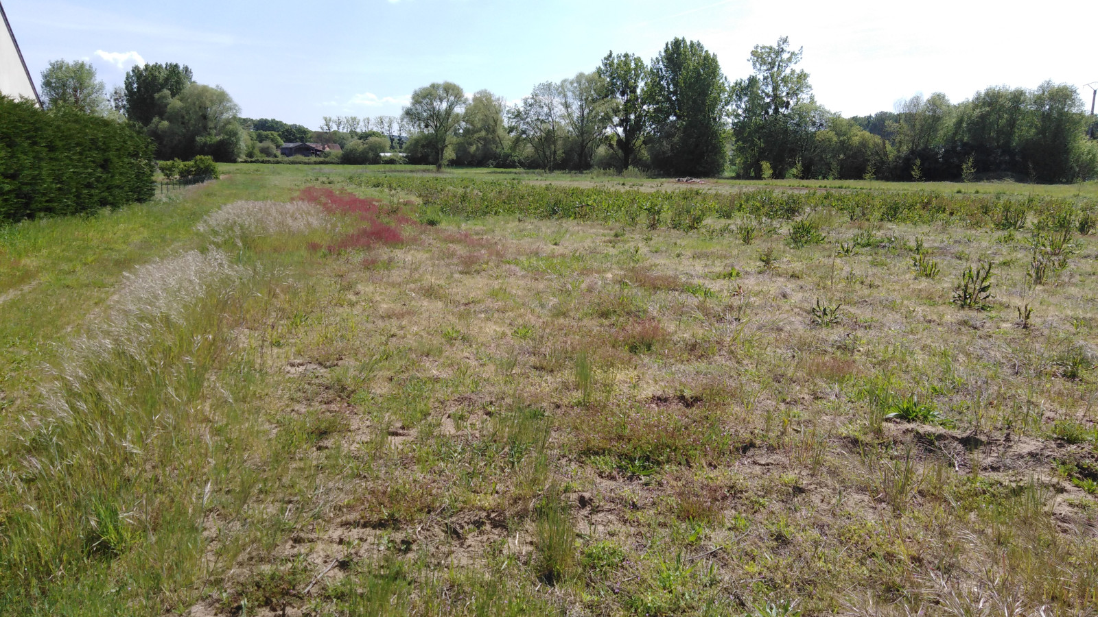 Terrain constructible de 350m2 à Allonnes