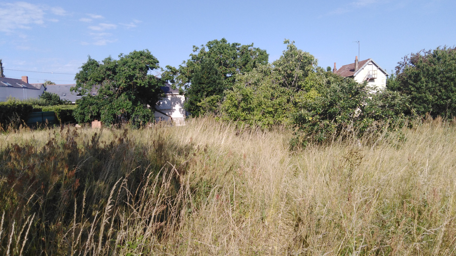 Terrain constructible de 1320m2 à Fontevraud-l'Abbaye