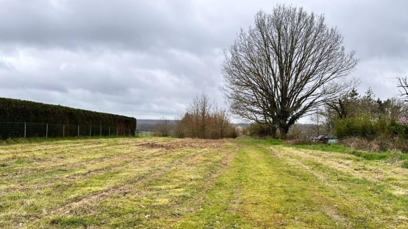 Terrain constructible de 3700m2 à Veuzain-sur-Loire