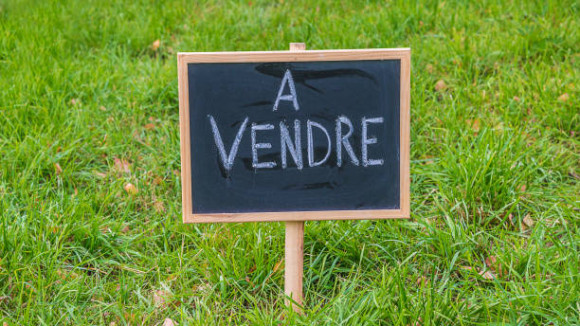 panneau a vendre.jpg