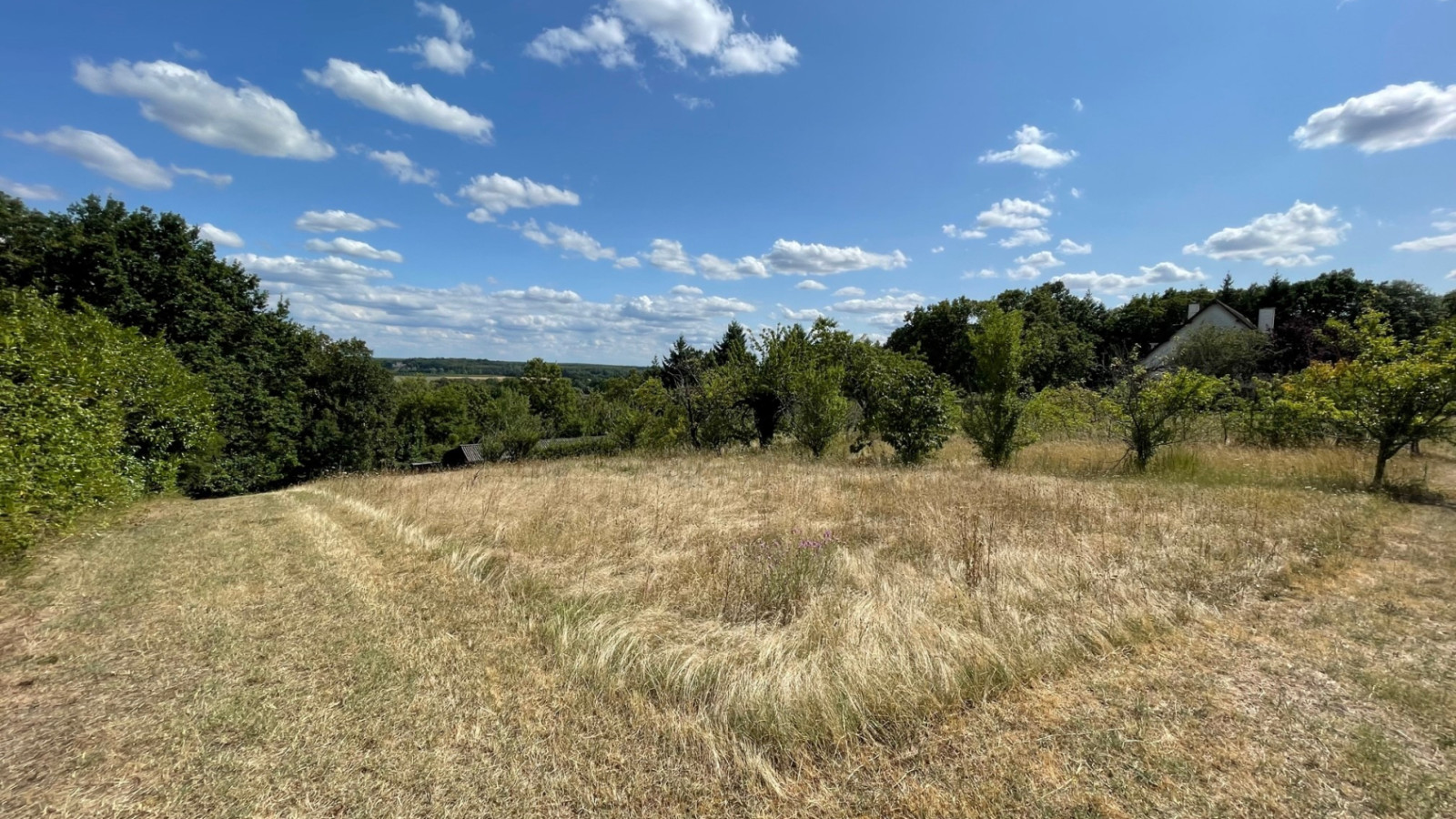 Terrain constructible de 1200m2 à Mont-près-Chambord