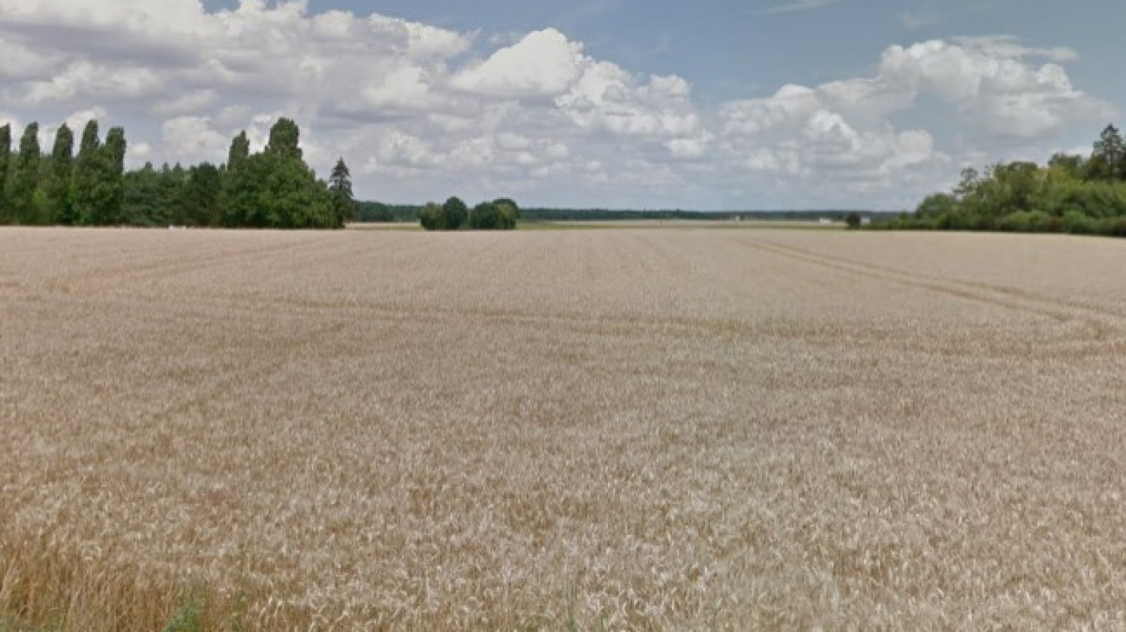 Terrain constructible de 1000m2 à Neuville-aux-Bois