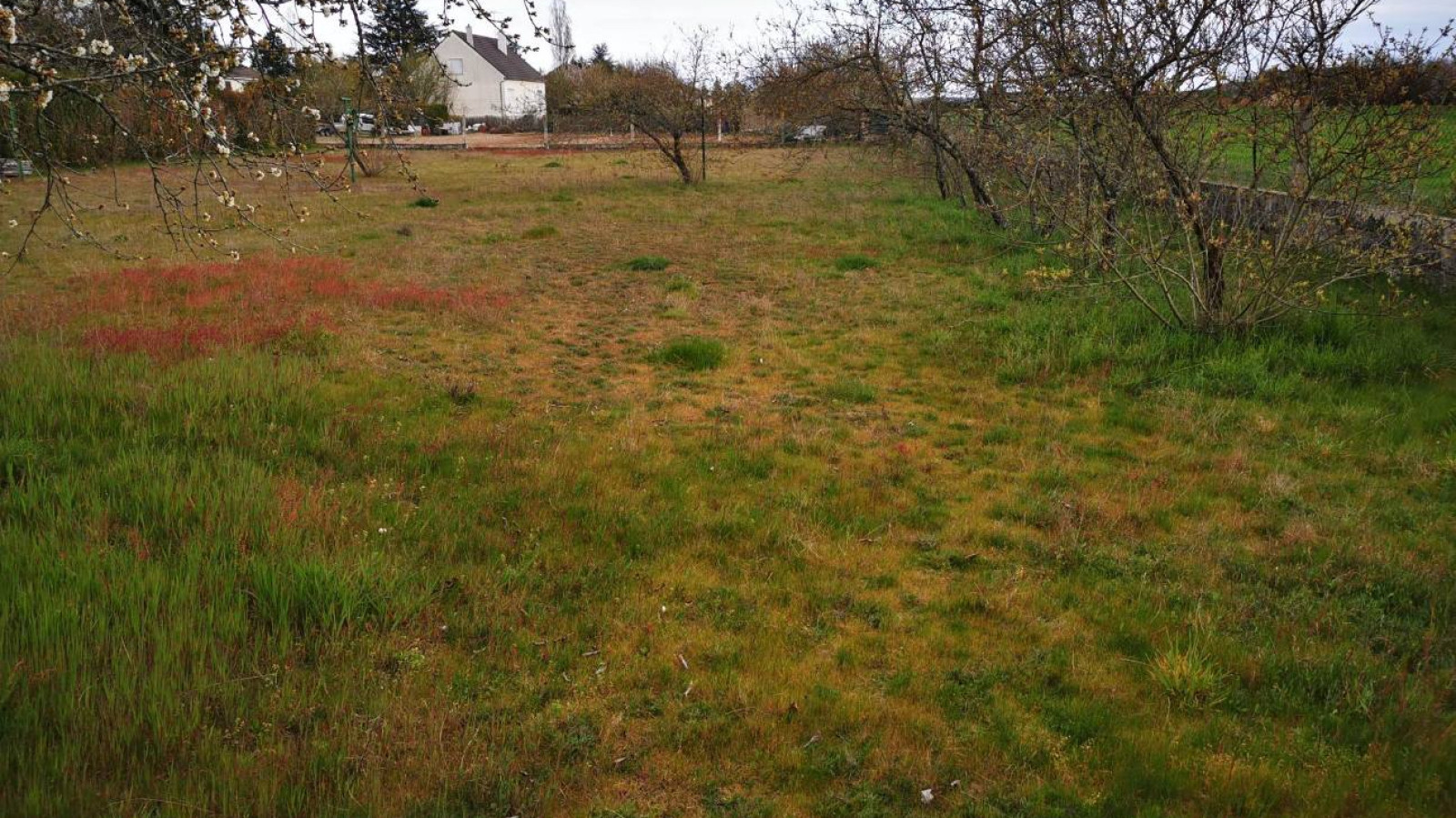 Terrain constructible de 1200m2 à Sainte-Maure-de-Touraine