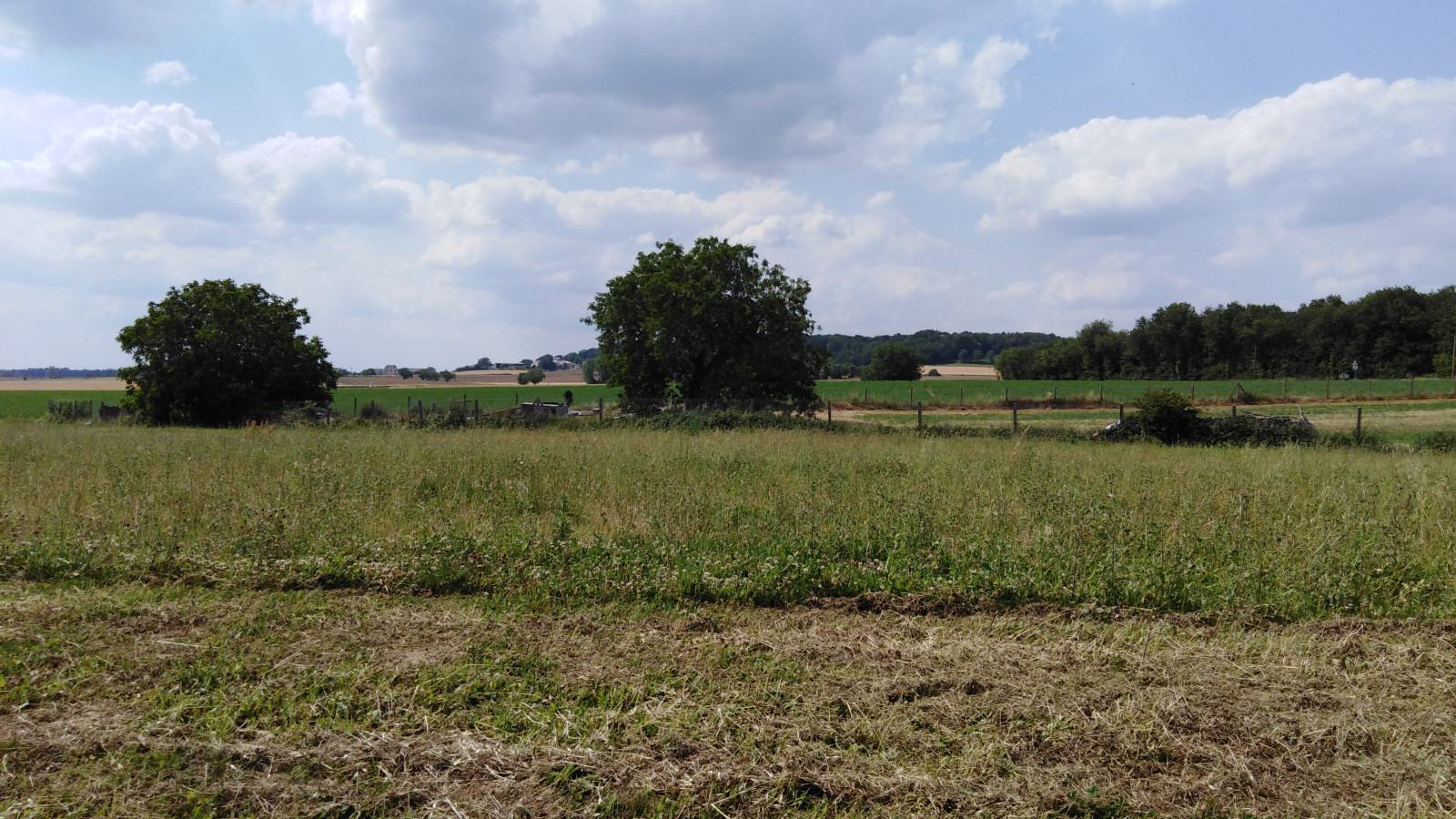 Terrain constructible de 638m2 à Montreuil-Bellay