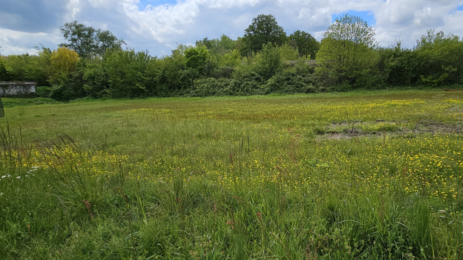 Terrain constructible de 534m2 à Sainte-Maure-de-Touraine